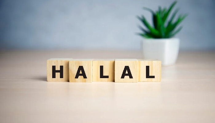 biaya sertifikat halal