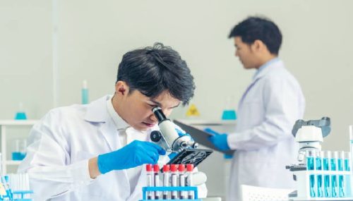 pengujian laboratorium tanah