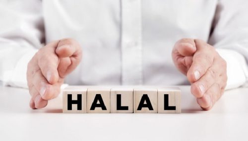 pendamping sertifikasi halal